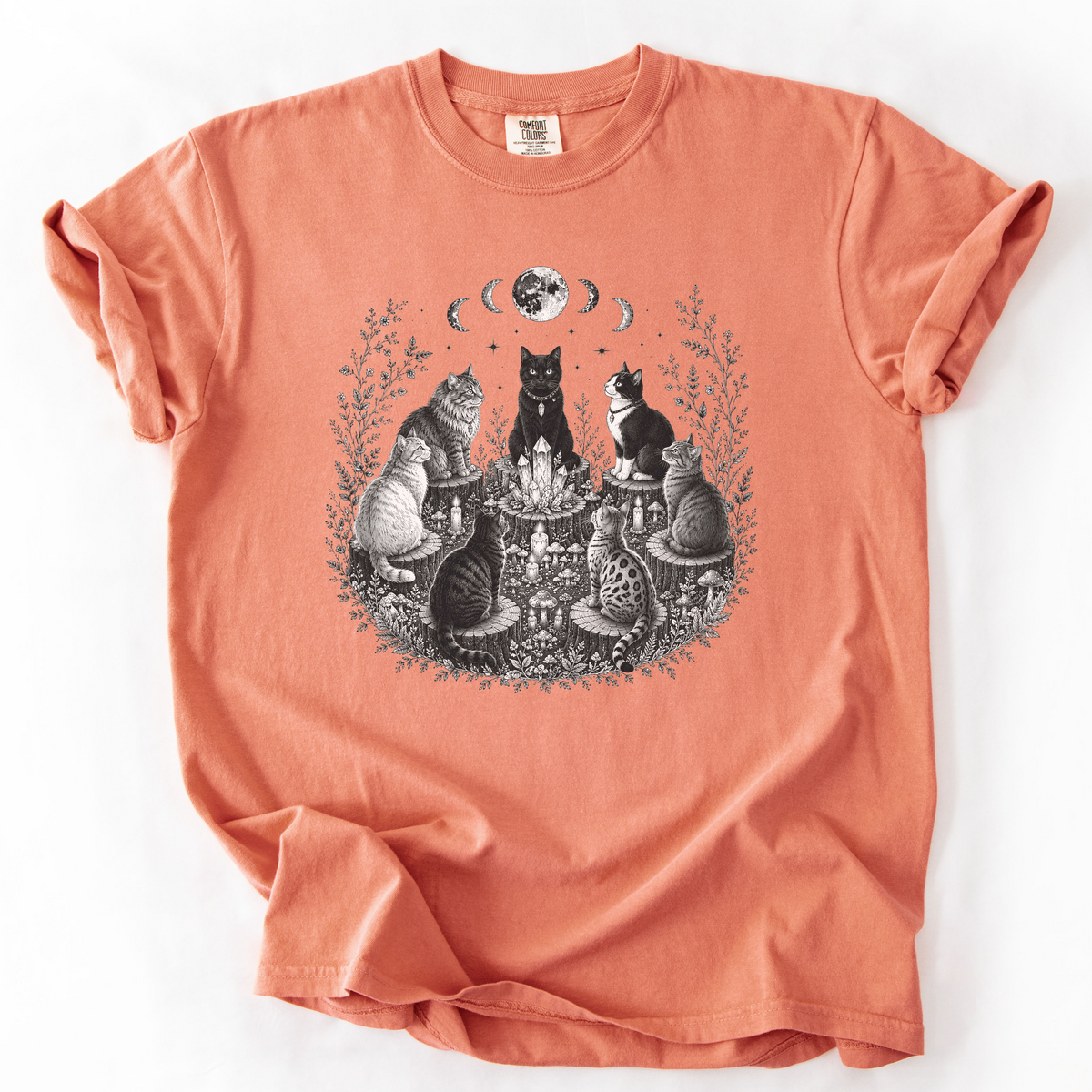 Mystical Cat Moon Phase Graphic Tee | Foxfire & Fable - Terracotta